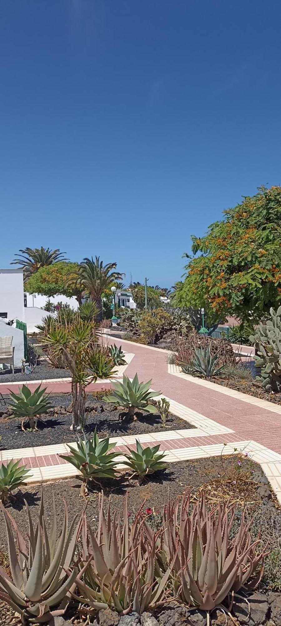 Willa Casa Gioeli Cocosol Costa De Antigua Zewnętrze zdjęcie