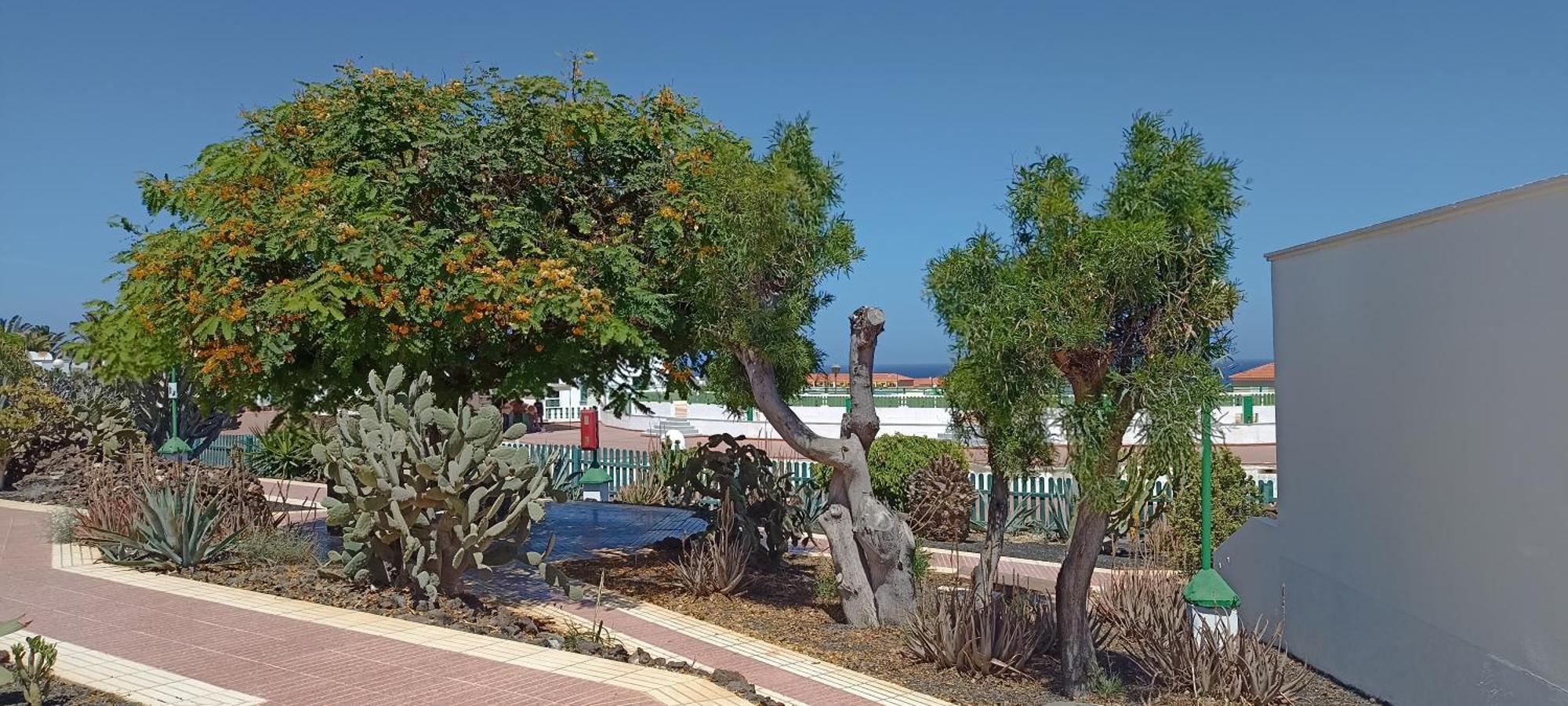 Willa Casa Gioeli Cocosol Costa De Antigua Zewnętrze zdjęcie